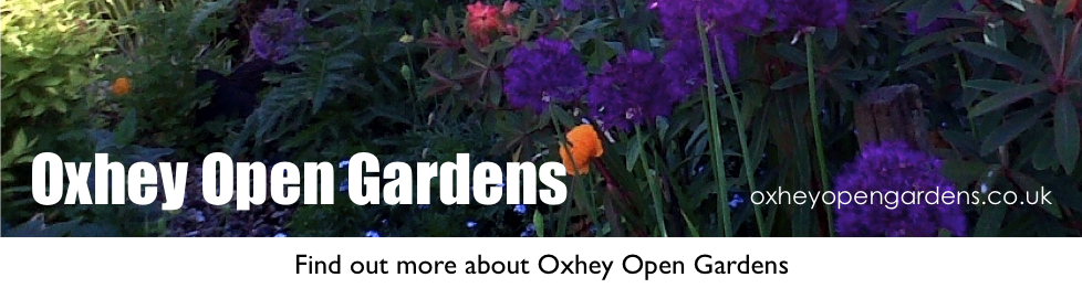 Oxhey Open Gardens
